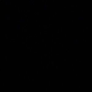 Meet your Posher, Lexi